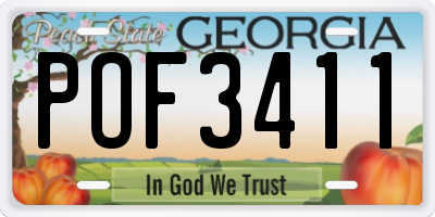 GA license plate POF3411
