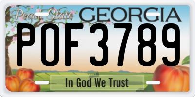 GA license plate POF3789