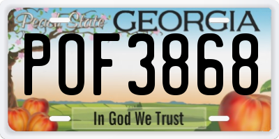 GA license plate POF3868