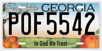 GA license plate POF5542