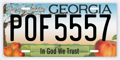GA license plate POF5557