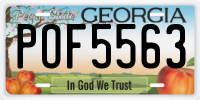 GA license plate POF5563