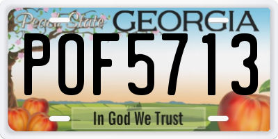 GA license plate POF5713