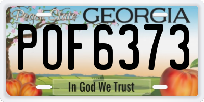 GA license plate POF6373