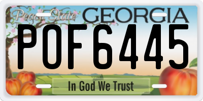 GA license plate POF6445