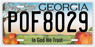 GA license plate POF8029