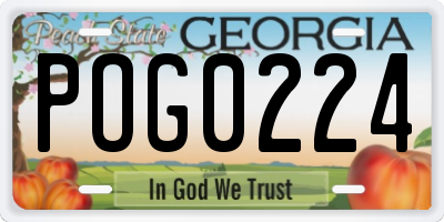 GA license plate POG0224