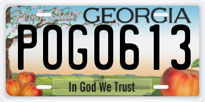 GA license plate POG0613