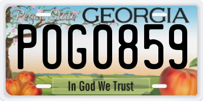 GA license plate POG0859