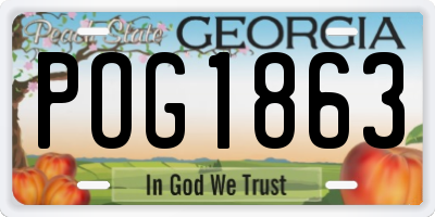 GA license plate POG1863