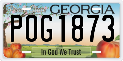 GA license plate POG1873