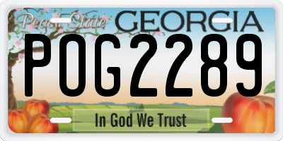 GA license plate POG2289