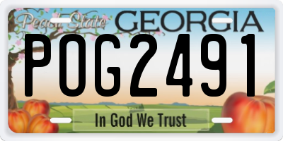 GA license plate POG2491