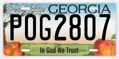 GA license plate POG2807