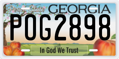 GA license plate POG2898
