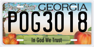 GA license plate POG3018