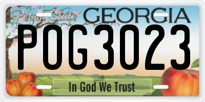 GA license plate POG3023