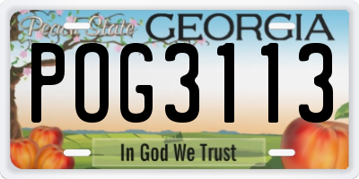 GA license plate POG3113
