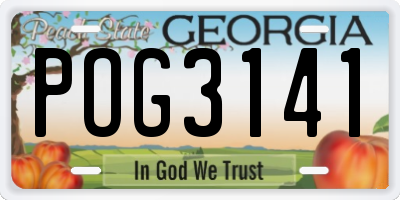 GA license plate POG3141