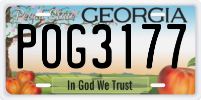 GA license plate POG3177