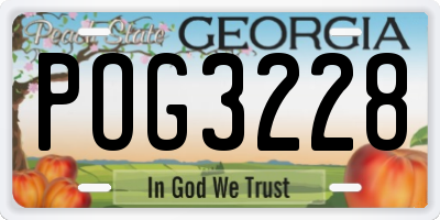 GA license plate POG3228
