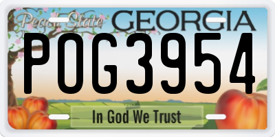 GA license plate POG3954