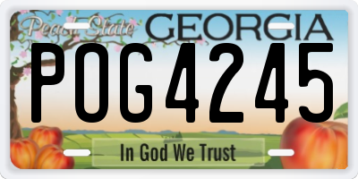 GA license plate POG4245