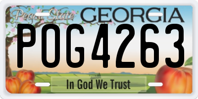 GA license plate POG4263