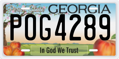 GA license plate POG4289