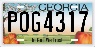 GA license plate POG4317