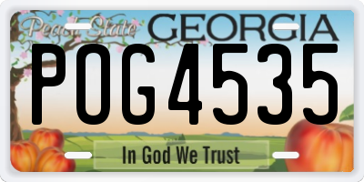 GA license plate POG4535