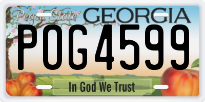 GA license plate POG4599