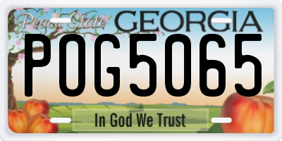 GA license plate POG5065