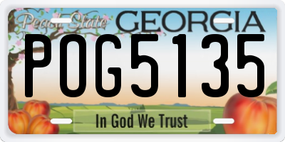 GA license plate POG5135