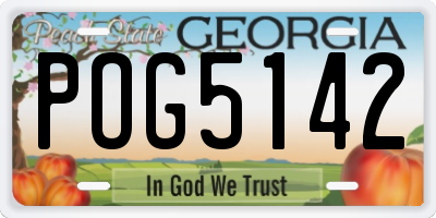 GA license plate POG5142