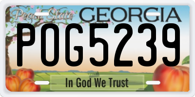 GA license plate POG5239