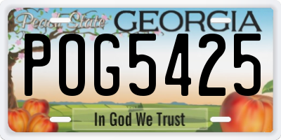GA license plate POG5425