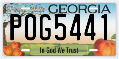 GA license plate POG5441