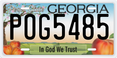 GA license plate POG5485