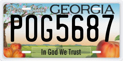 GA license plate POG5687