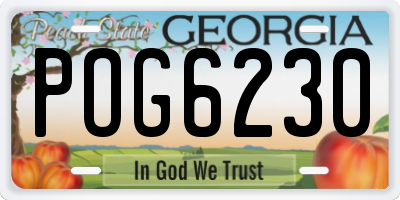 GA license plate POG6230