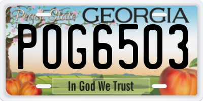 GA license plate POG6503