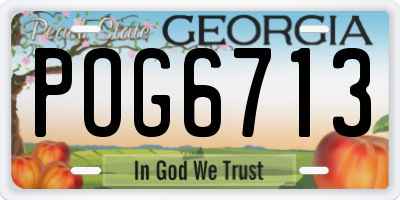 GA license plate POG6713