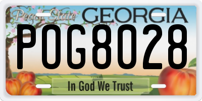 GA license plate POG8028