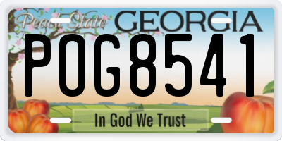 GA license plate POG8541