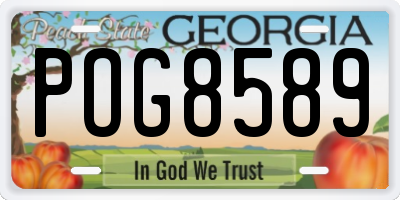 GA license plate POG8589