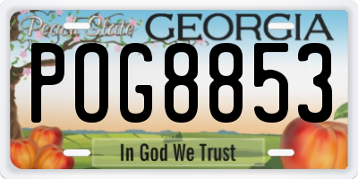 GA license plate POG8853