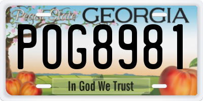 GA license plate POG8981