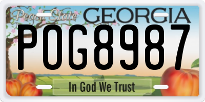 GA license plate POG8987