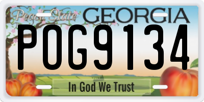 GA license plate POG9134